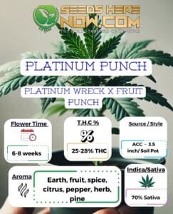 Platinum Punch Clones - Acc