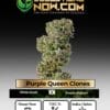 Purple Queen Clones (space) ACC