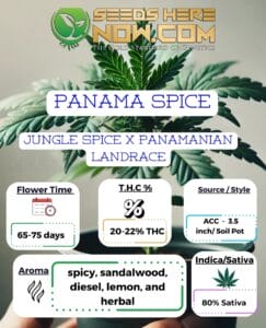 Panama Spice Clones - Acc