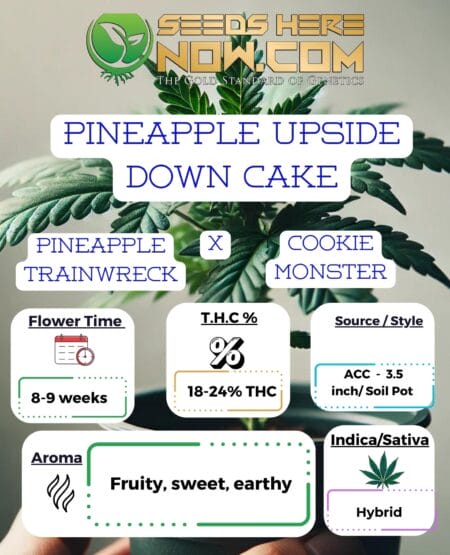 Acc - Pineapple Upside Down Cake