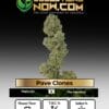 Pave Clones - Acc