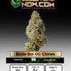 Rude Boi Og Clones - Acc
