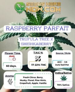 Raspberry Parfait Clones (space) ACC