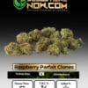 Raspberry Parfait Clones (space) ACC