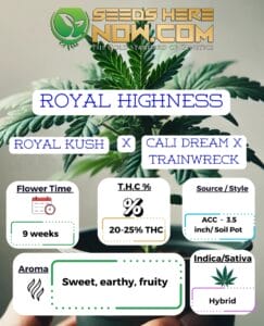 Royal Highness Clones - ACC