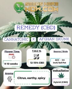 Remedy (cbd) Clones- Acc
