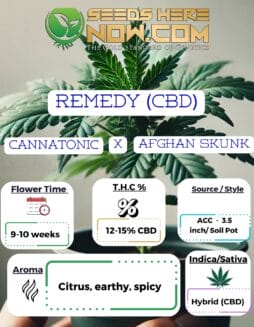 ACC - Remedy (CBD)ACC - Remedy (CBD)