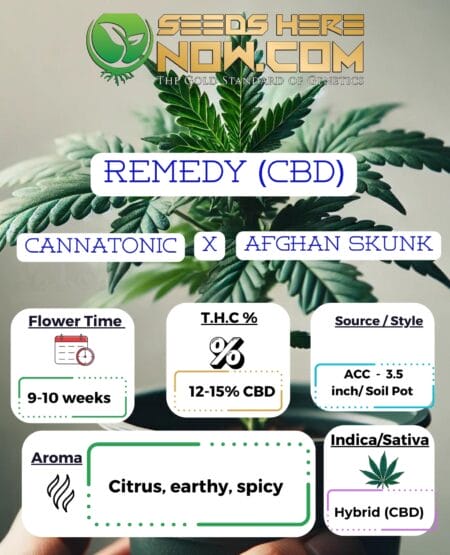 Remedy (cbd) Clones- Acc