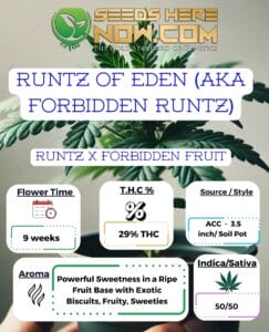 Runtz of Eden (aka Forbidden Runtz) Clones - Acc