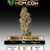 Runtz of Eden (aka Forbidden Runtz) Clones - Acc