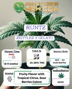 Runtz Clones - Acc