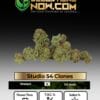 Studio 54 Clones (space) ACC