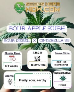 Sour Apple Kush Clones - Acc