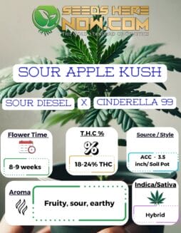 Sour Apple Kush Clones - ACCSour Apple Kush Clones - ACC