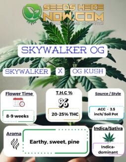 ACC - Skywalker OGAcc - Skywalker Og