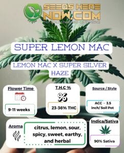 Super Lemon Mac Clones - Acc