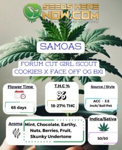 Samoas Clones - Acc