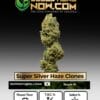Super Silver Haze Clones (space) ACC