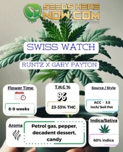 Swiss Watch Clones- Acc
