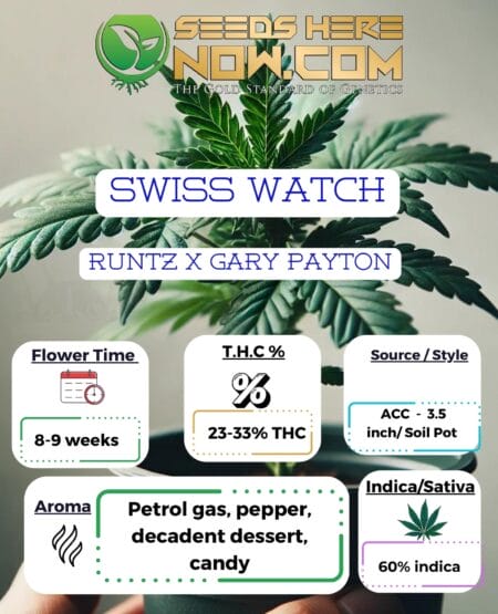 Swiss Watch Clones(space) ACC
