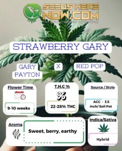 Strawberry Gary Clones - ACC