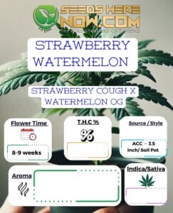 Strawberry Watermelon Clones - Acc