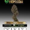 Trop Cherry Clones - Acc