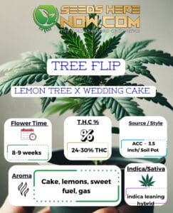 Tree Flip Clones - Acc