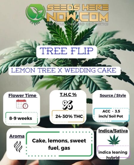 Tree Flip Clones (space) ACC