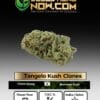 Tangelo Kush Clones - Acc