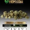 Trainwreck Clones - Acc