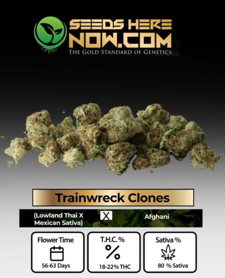 Trainwreck Clones - Acc