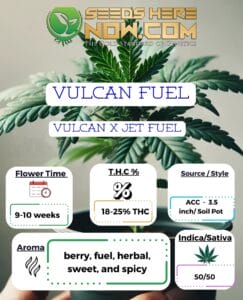 Vulcan Fuel Clones (space) ACC