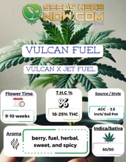 Vulcan Fuel Clones - ACC