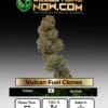 Vulcan Fuel Clones (space) ACC