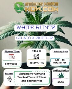 White Runtz Clones (space) ACC