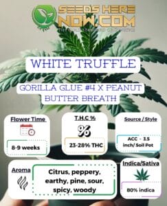 White Truffle Clones - Acc