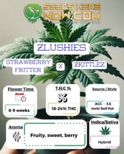 Zlushies Clones - Acc