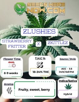 Zlushies Clones - ACCZlushies Clones - ACC