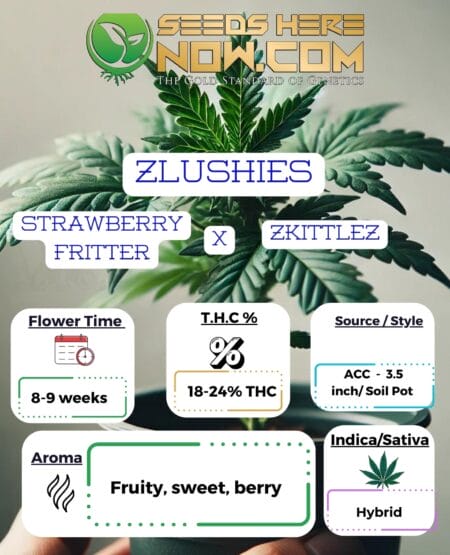 Zlushies Clones - Acc
