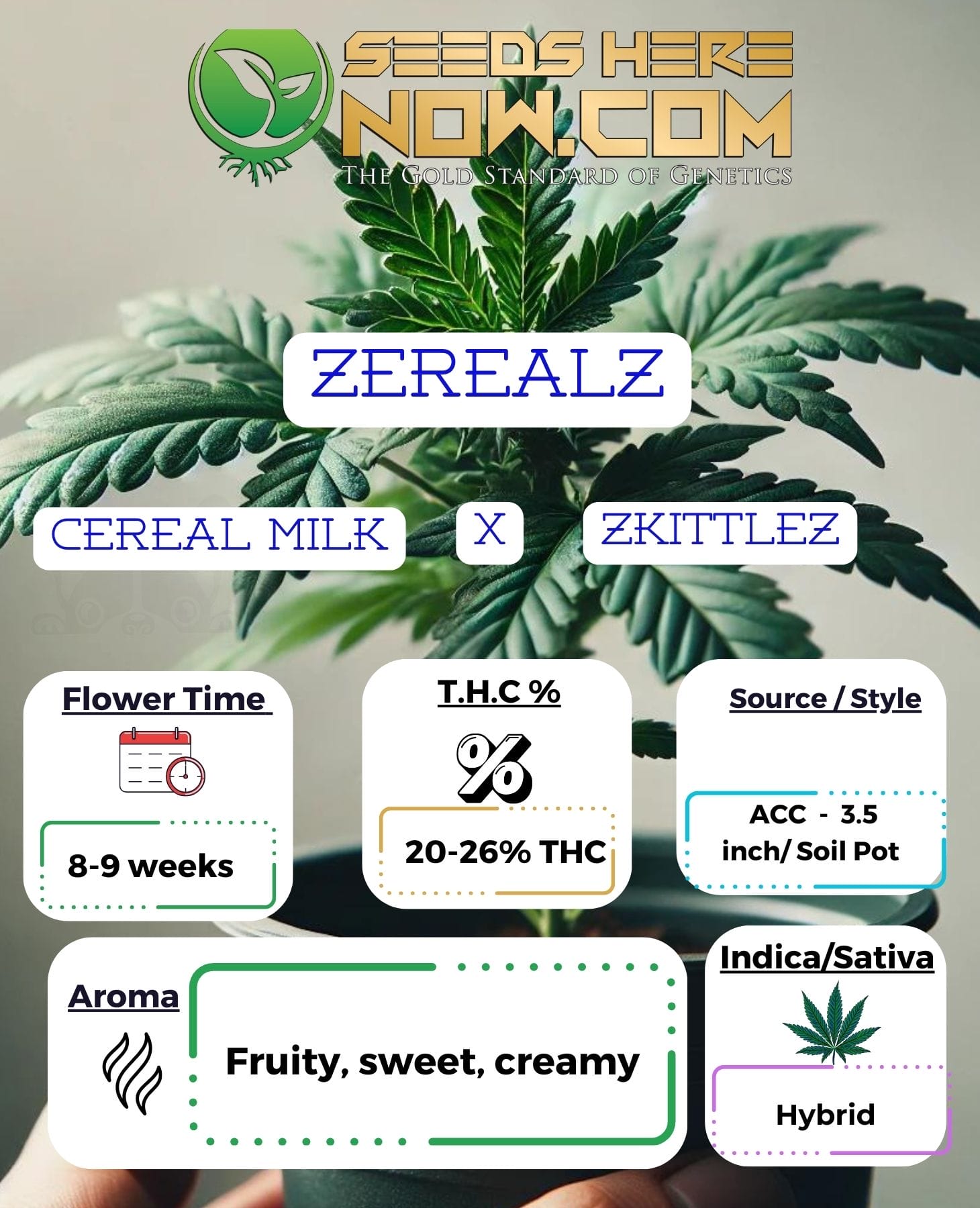 Zerealz Clones- ACC