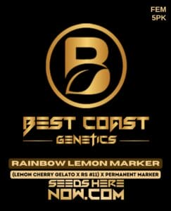 Rainbow Lemon Marker (feminized) - Best Coast Genetics