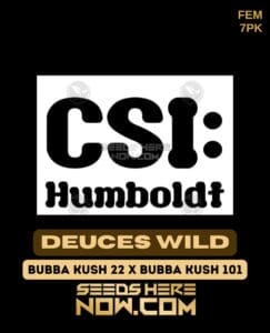 Deuces Wild (feminized) - Csi Humboldt