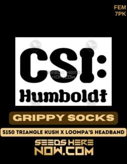 CSI Humboldt - Grippy Socks {FEM} [7pk]CSI Humboldt - Grippy Socks {FEM} [7pk]