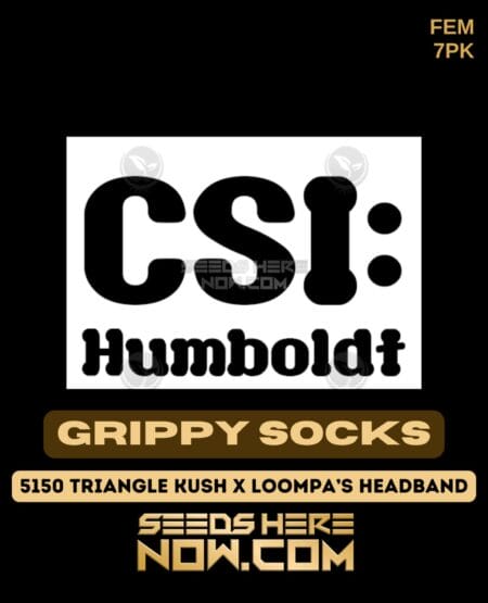 Grippy Socks (Feminized) (space) CSI Humboldt