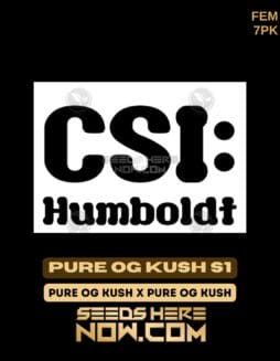 CSI Humboldt - Pure OG Kush S1 {FEM} [7pk]CSI Humboldt - Pure OG Kush S1 {FEM} [7pk]