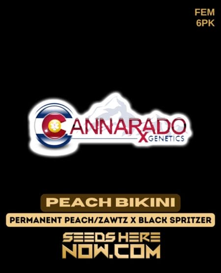 Cannarado Genetics - Peach Bikini {fem} [6pk]