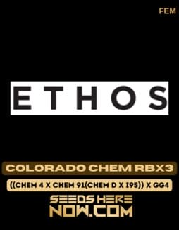 Ethos Genetics - Colorado Chem RBx3 {FEM} [6pk] Classic Old PackagingEthos Genetics - Colorado Chem RBx3 {FEM} [6pk] Classic Old Packaging