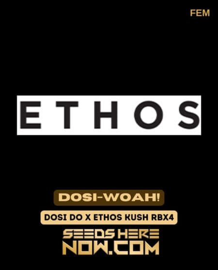 Ethos Genetics - Dosi-woah! {fem} Classic Old Packaging