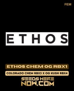 Ethos Chem OG RBX1 (Feminized) (space) Ethos Genetics